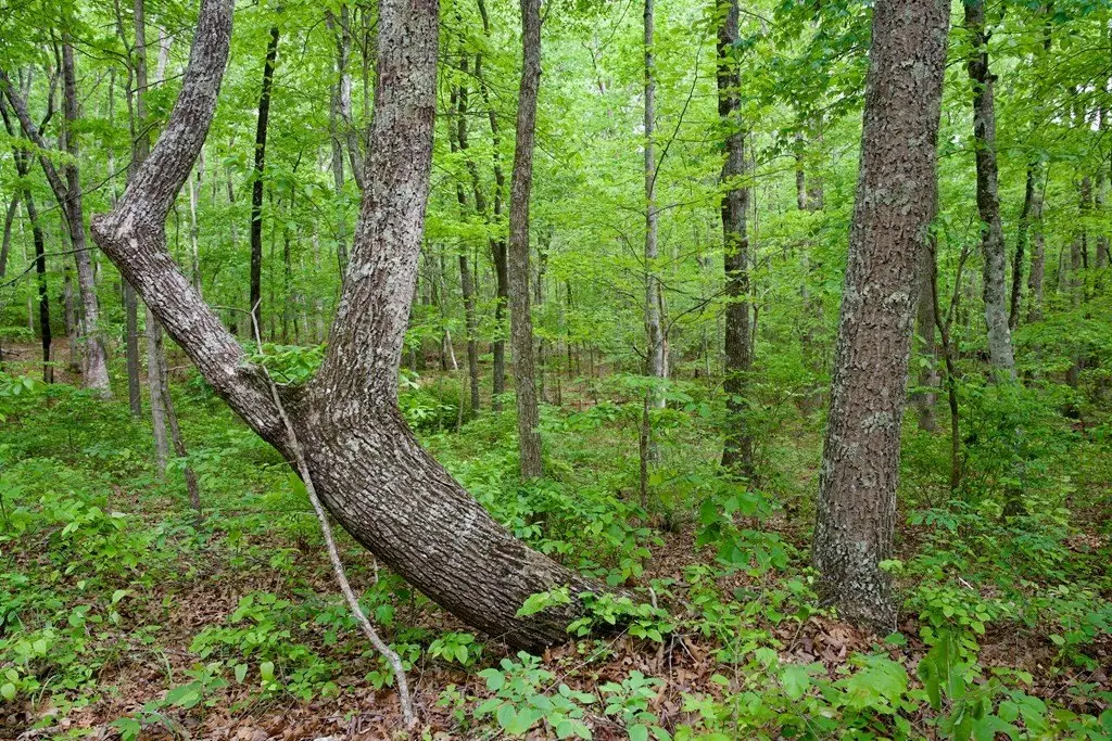 Picture 3