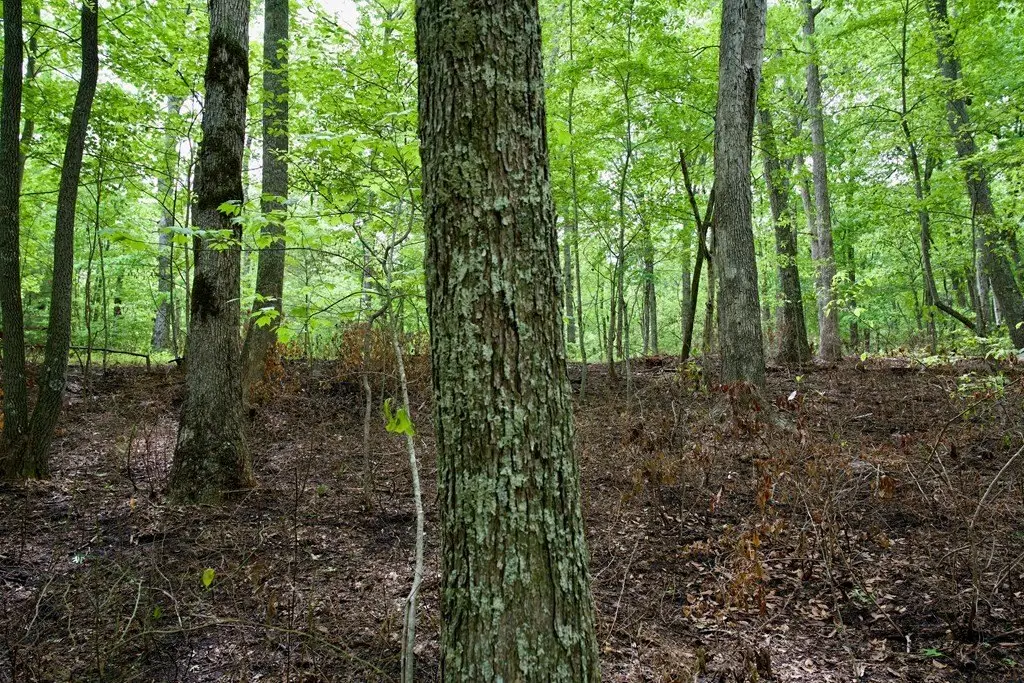 Picture 16