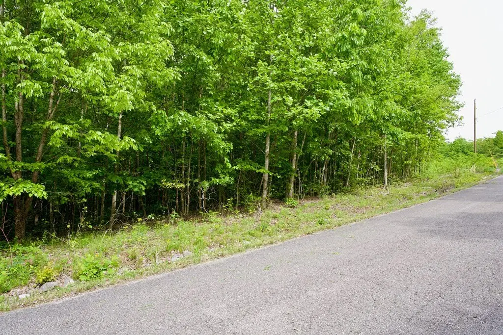 Picture 6