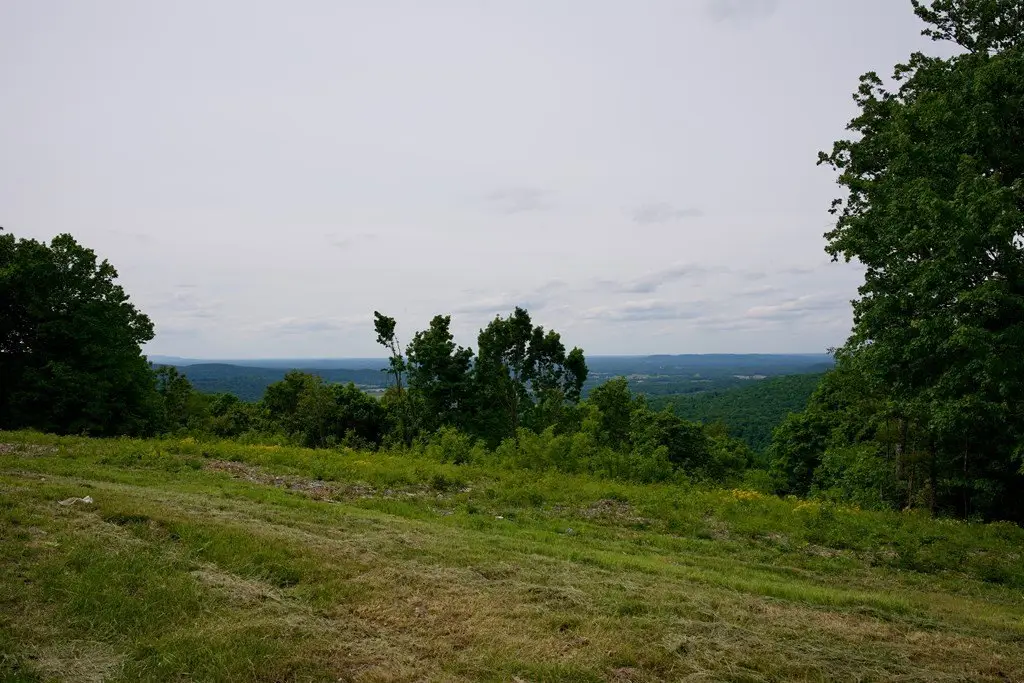 Picture 17