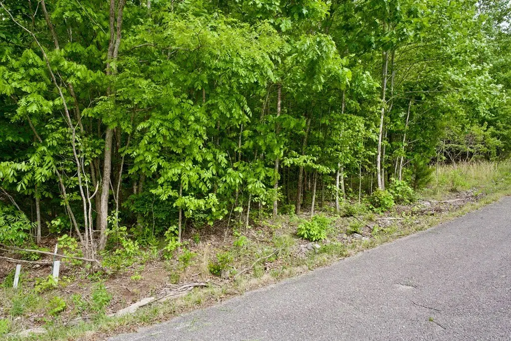 Picture 8