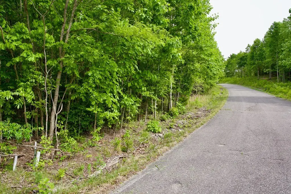Picture 9