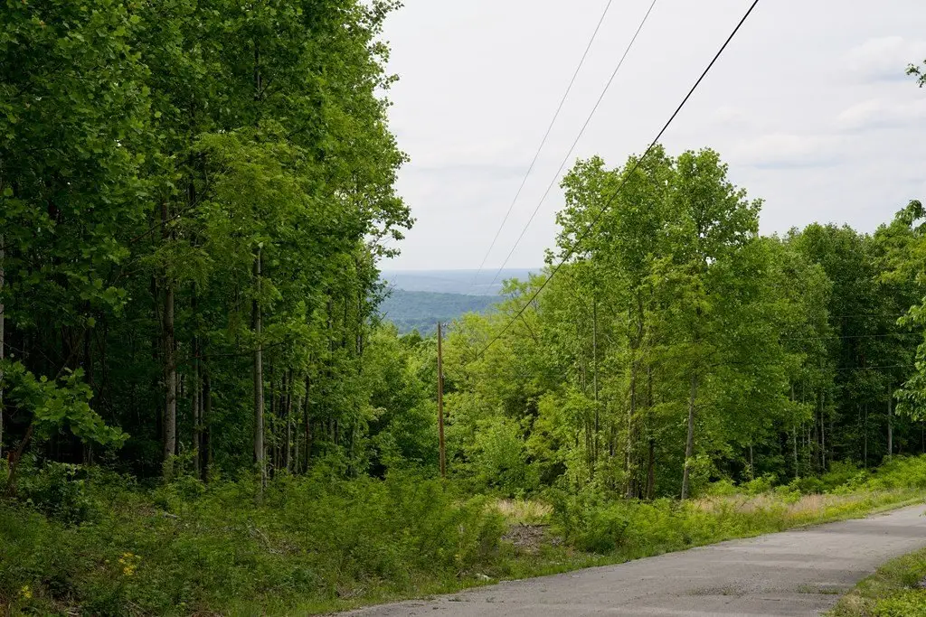 Picture 15
