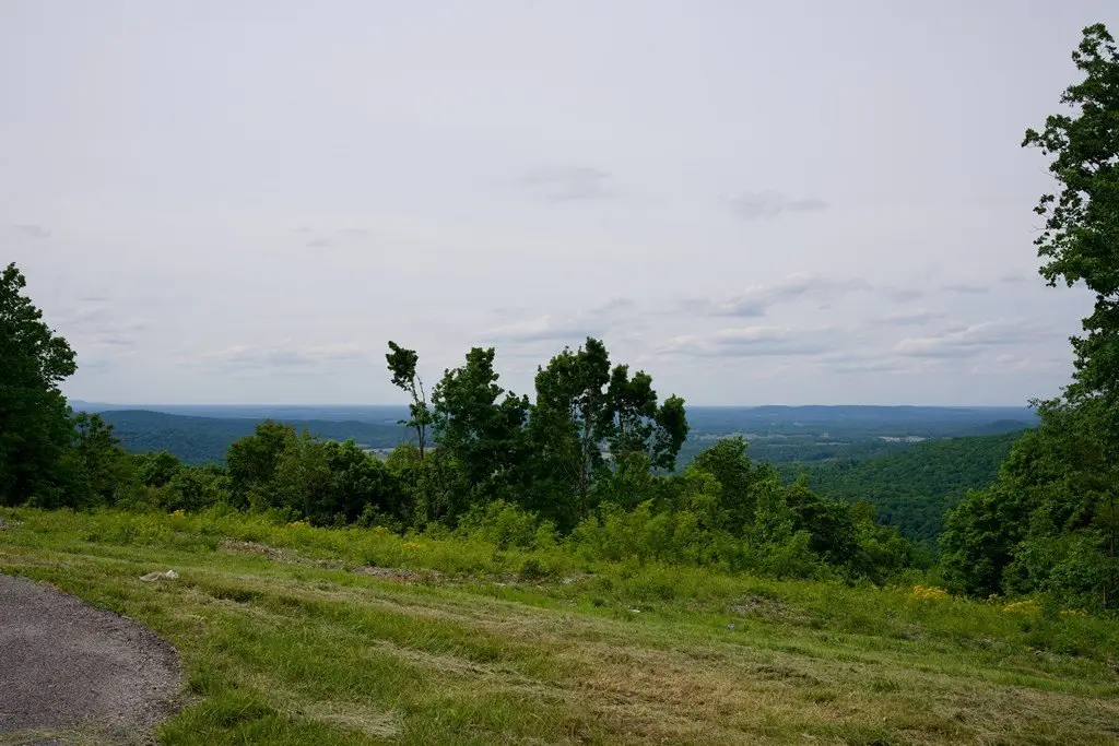 Picture 16