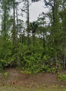 Lehigh Acres Land Opportunity