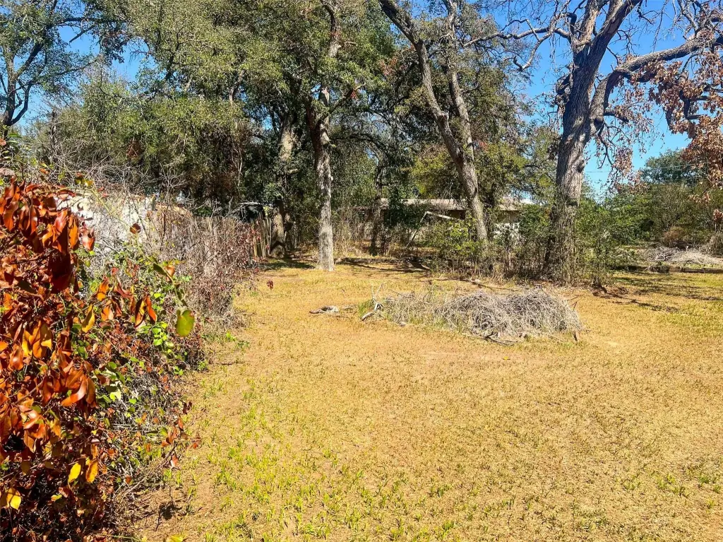 Picture 21