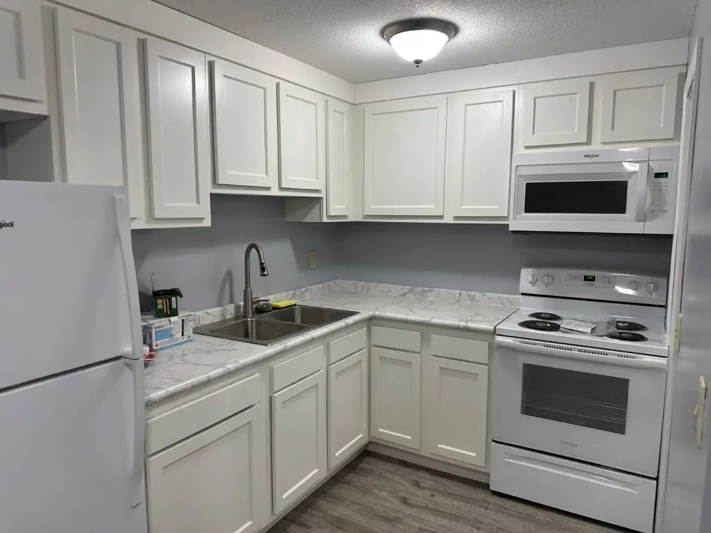 Picture 14