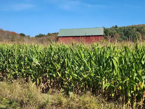 Farm Land with Stream and Barn