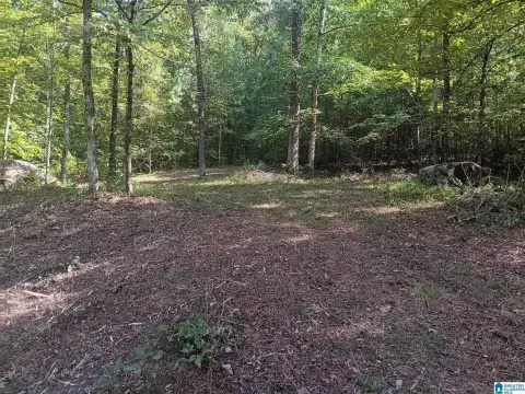 Residential Land in Warrior, Alabama