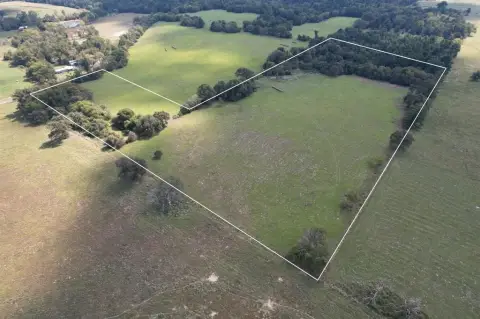 20 Acres of Texas Land