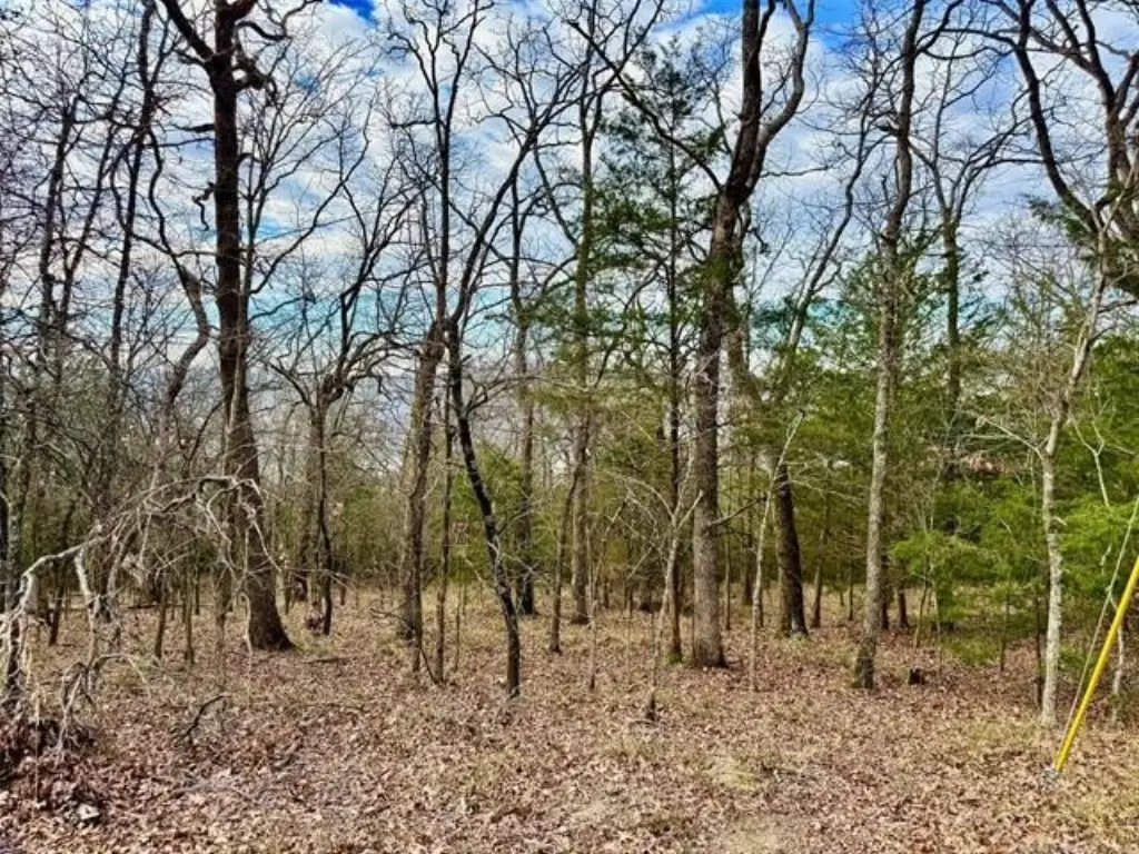 Picture 6