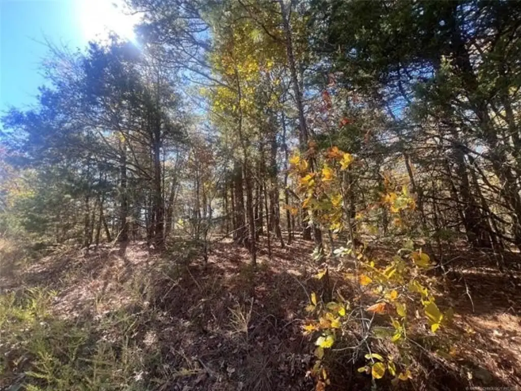 Picture 11