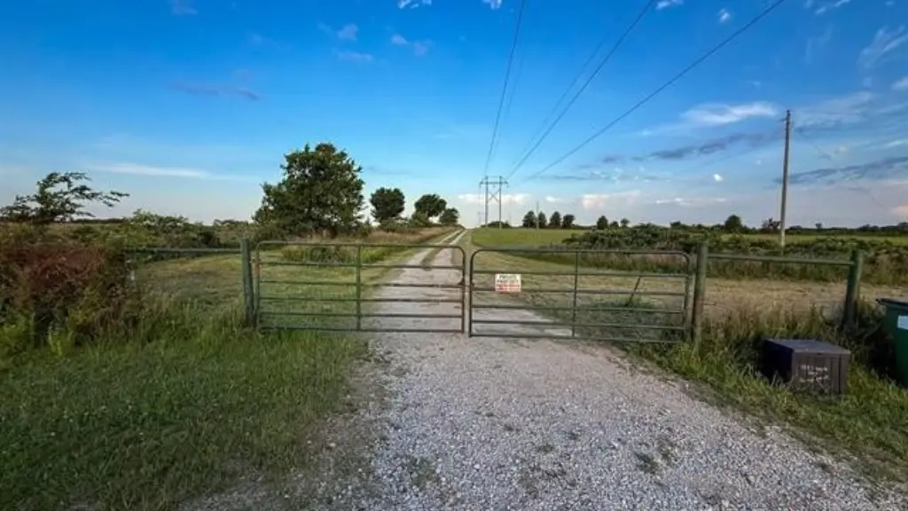 Picture 37