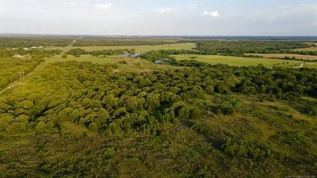 Picture 22