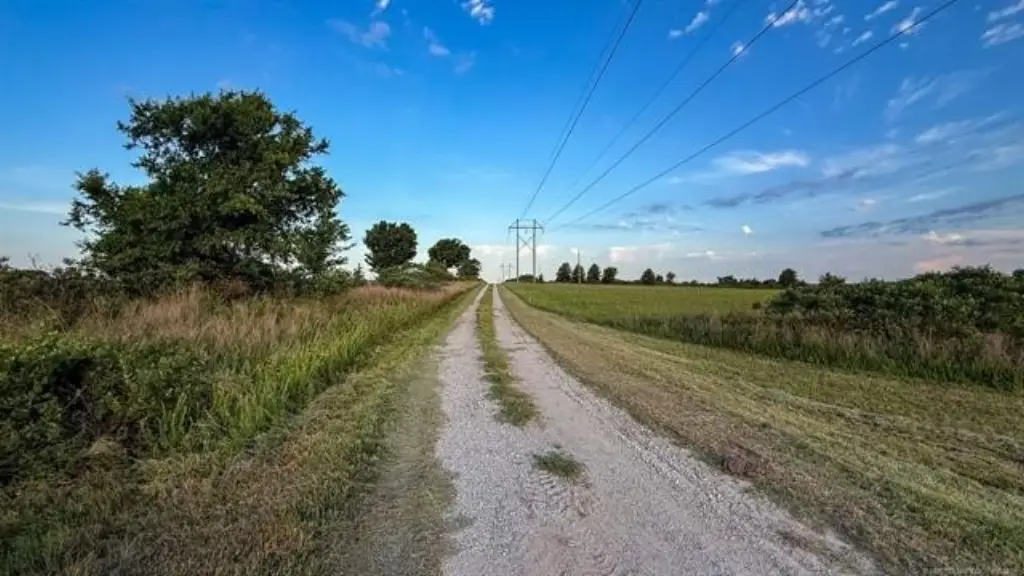 Picture 41