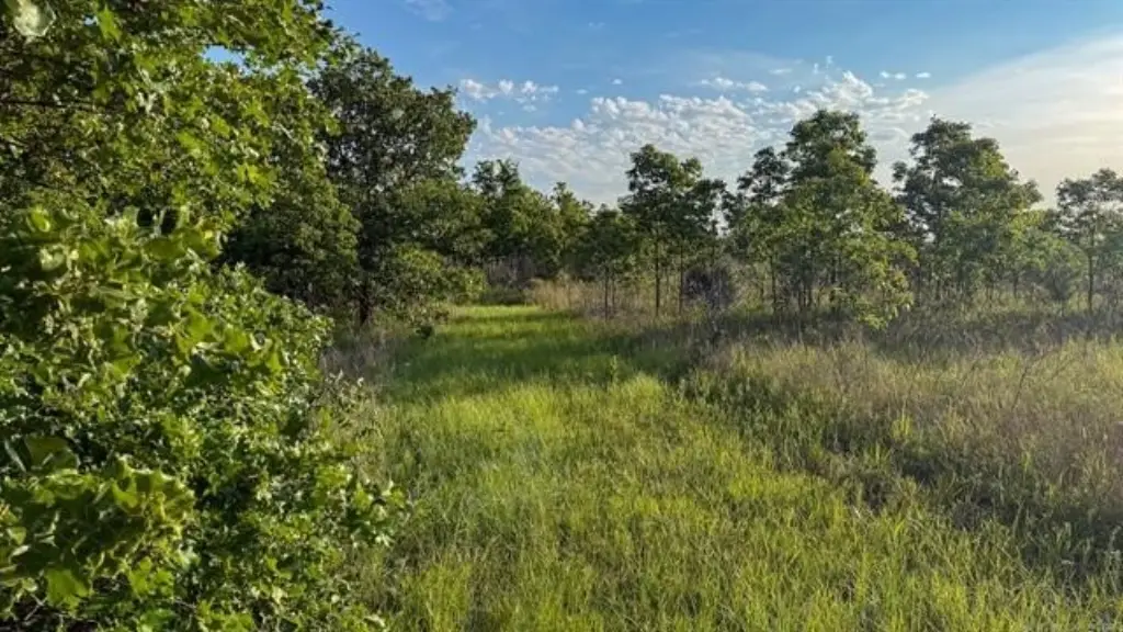 Picture 46