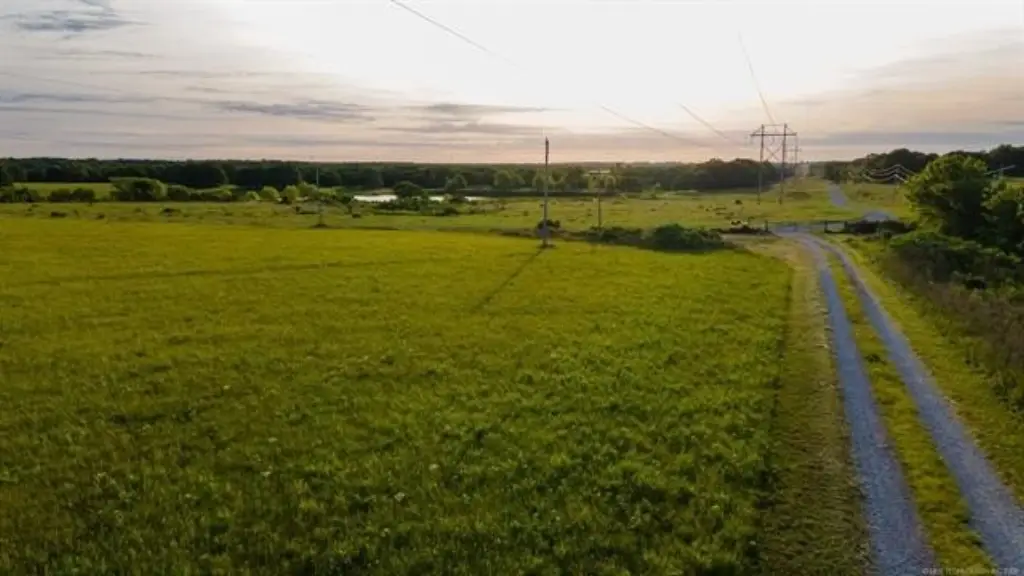 Picture 28