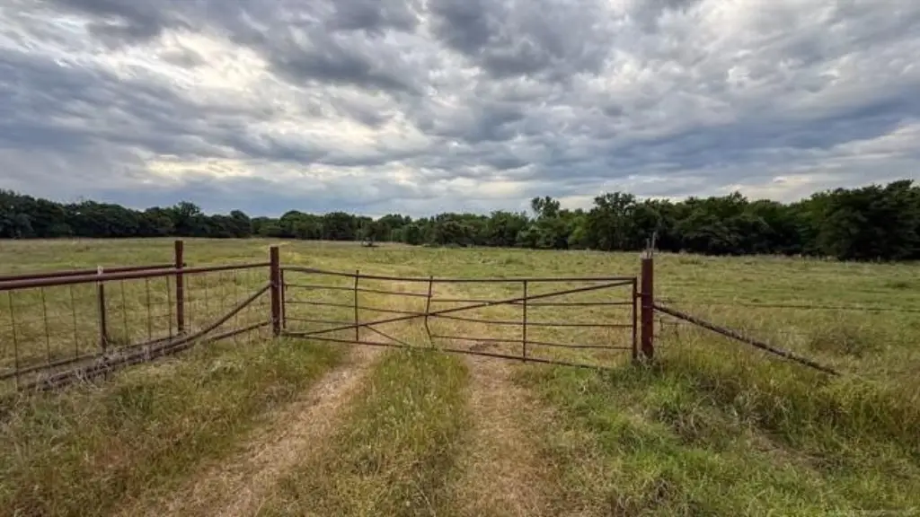 Picture 22