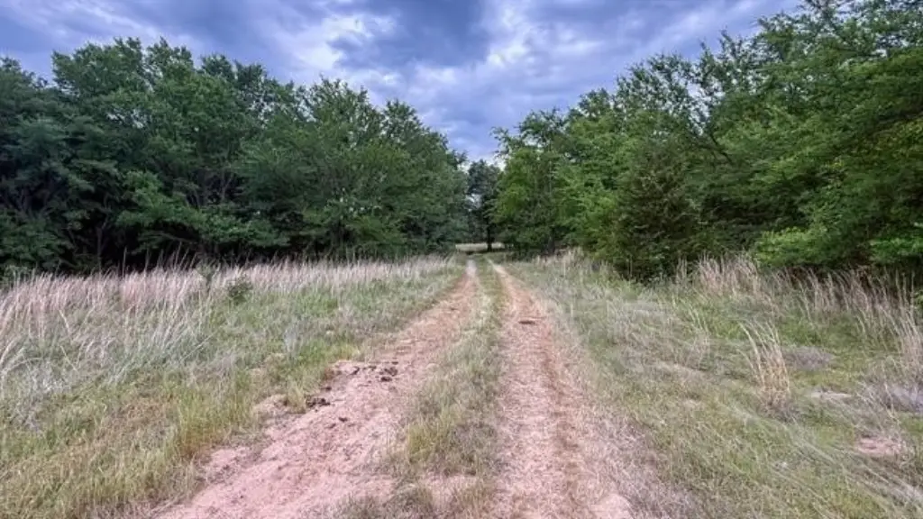 Picture 38