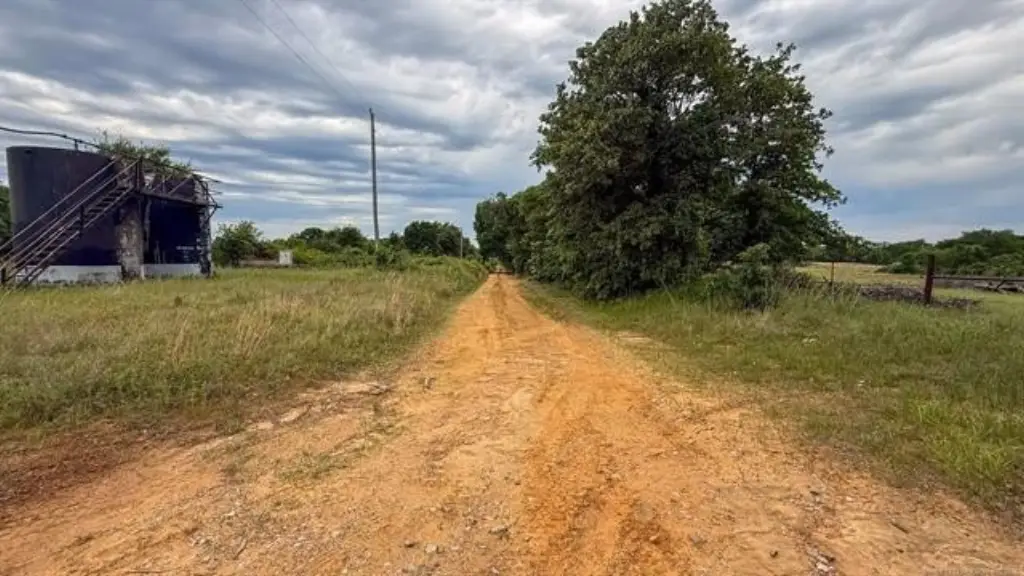 Picture 40