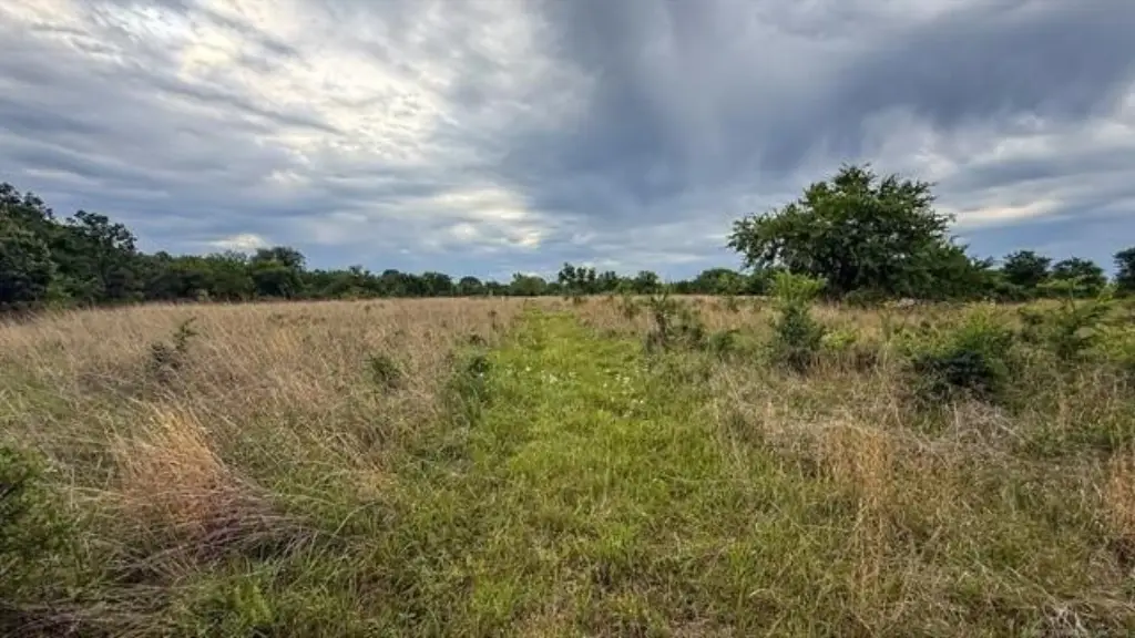 Picture 29