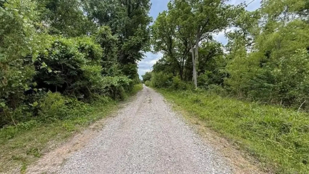 Picture 41