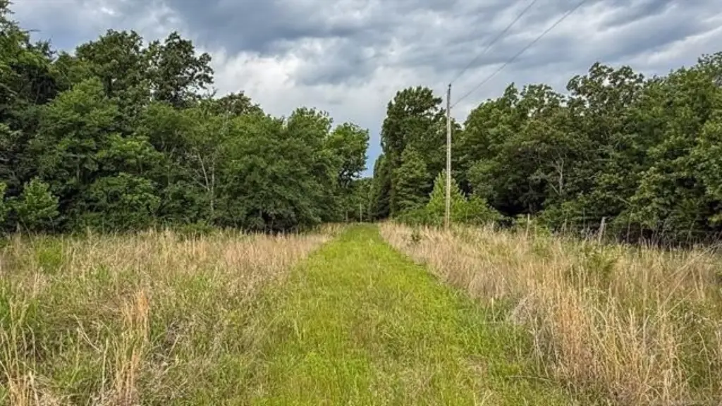 Picture 26