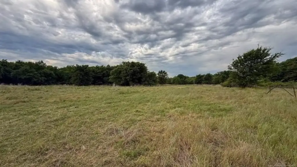 Picture 23
