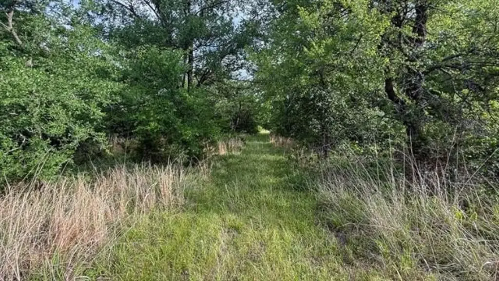 Picture 25