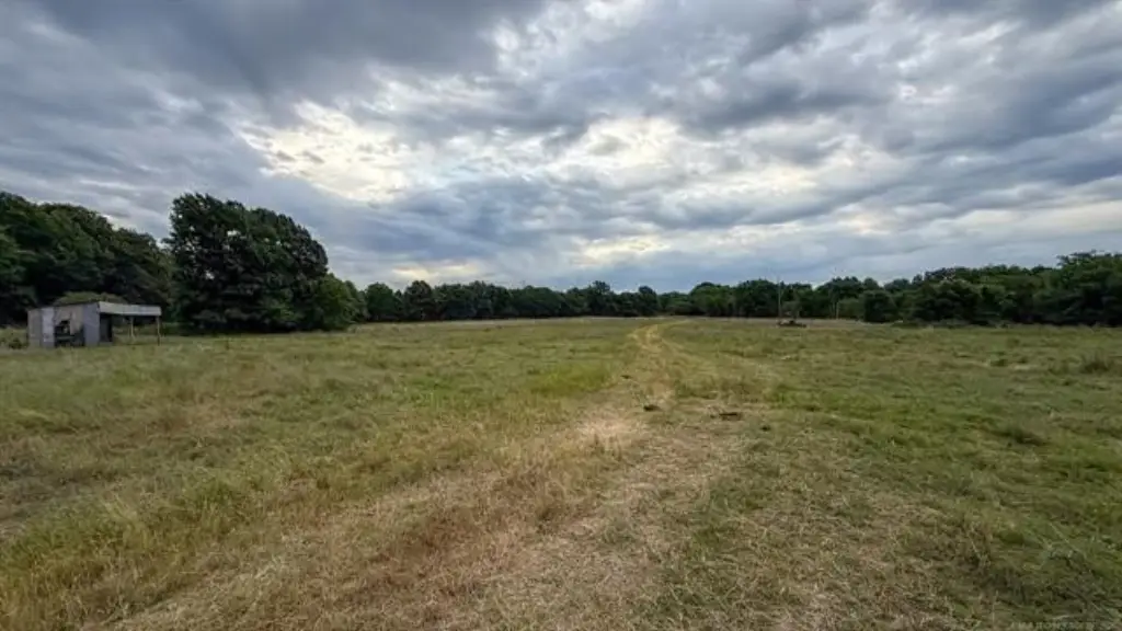Picture 24