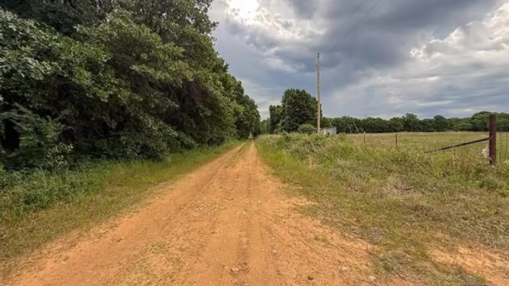 Picture 39