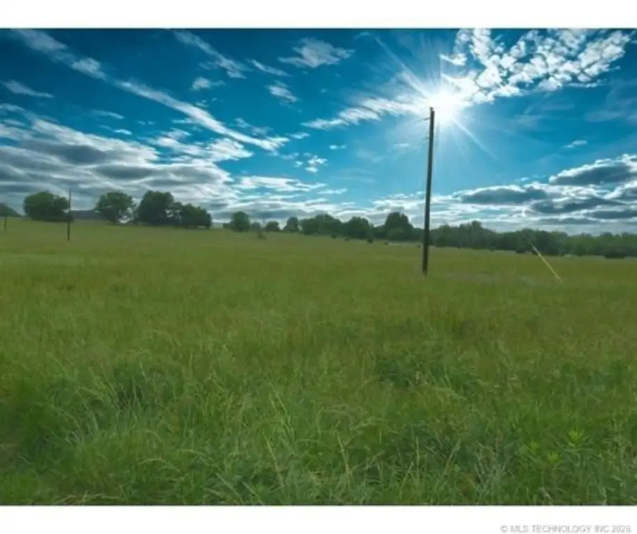 Picture 11