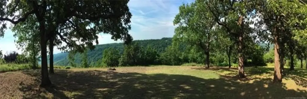 Picture 9