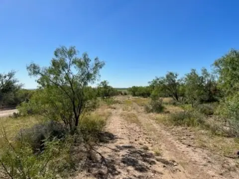Millersview Land with Hunting Potential