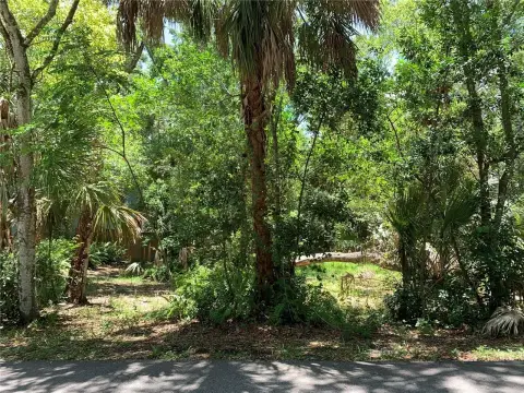 TARPON SPRINGS Land For Sale