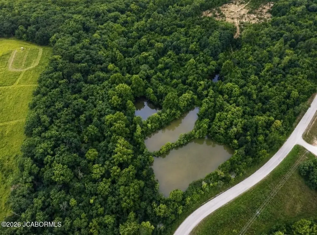 Picture 14