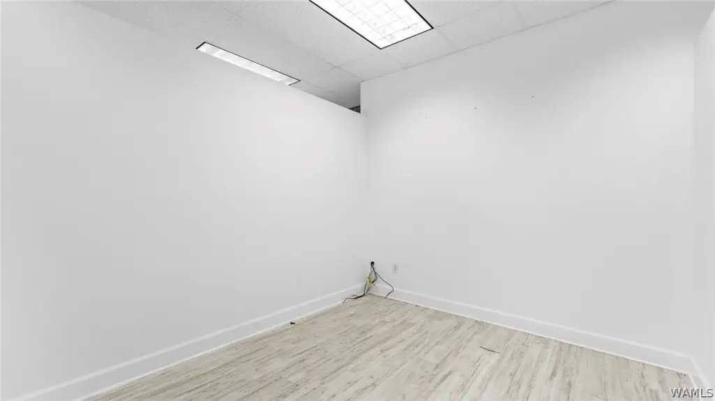 Picture 16