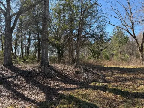 Residential Land in Westminster, SC