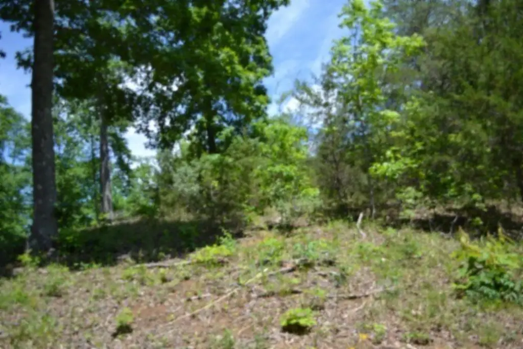 Picture 30