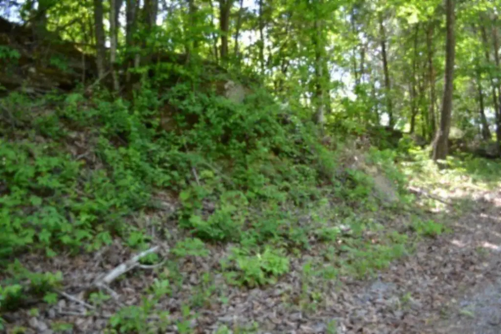Picture 35