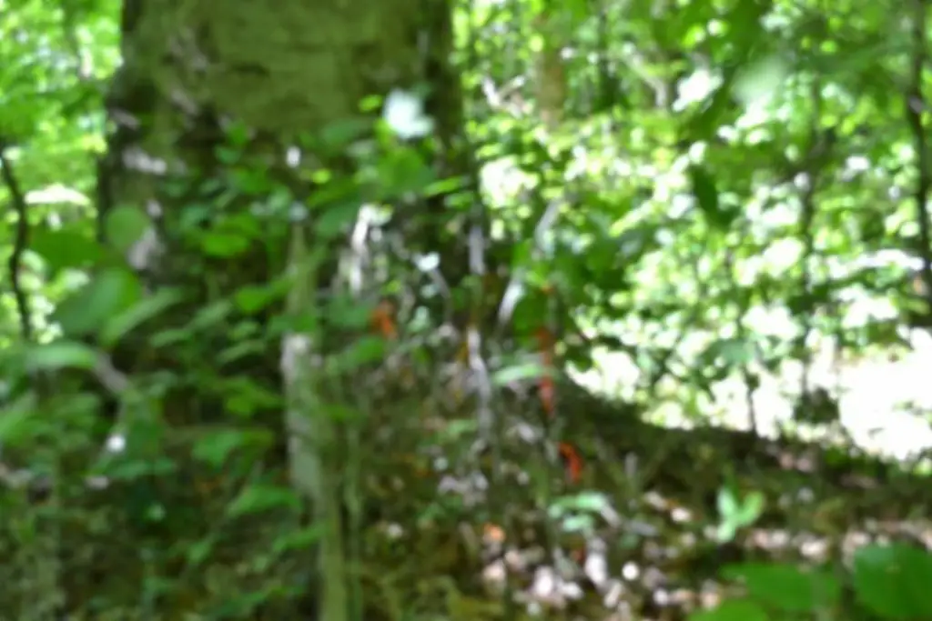 Picture 8