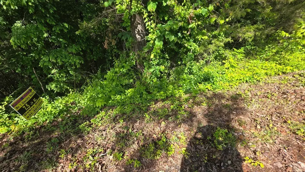 Picture 47