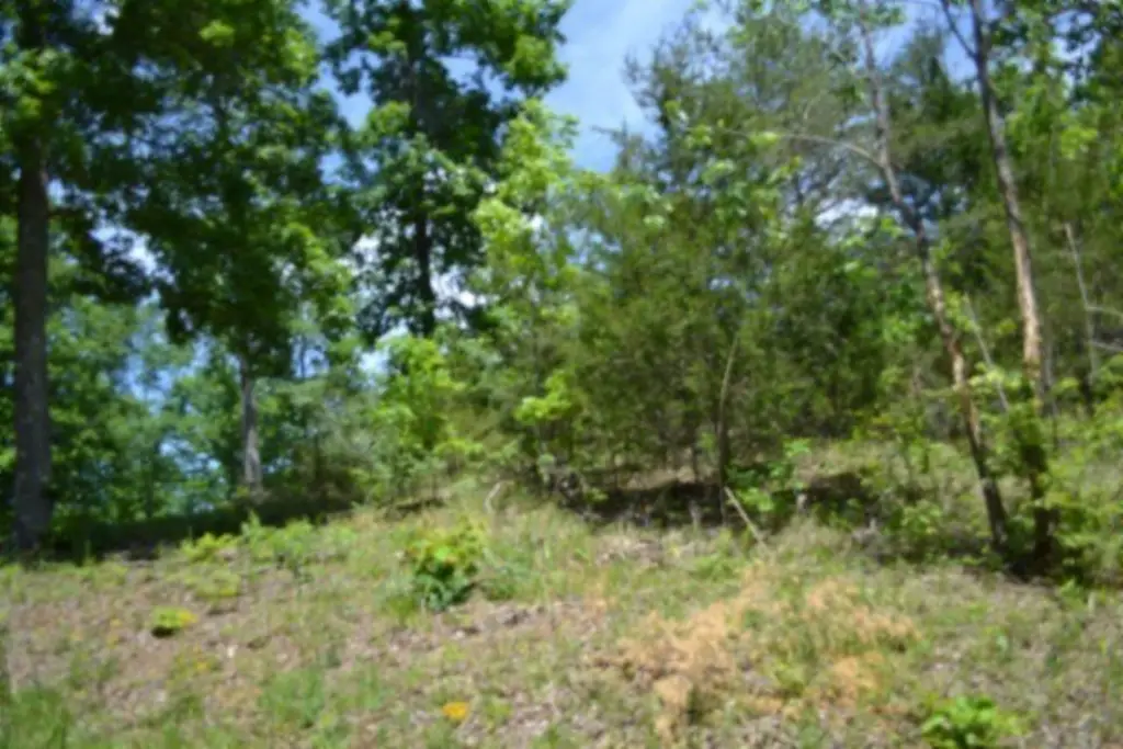 Picture 29