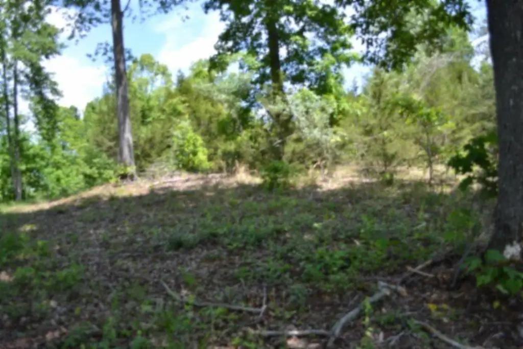 Picture 31
