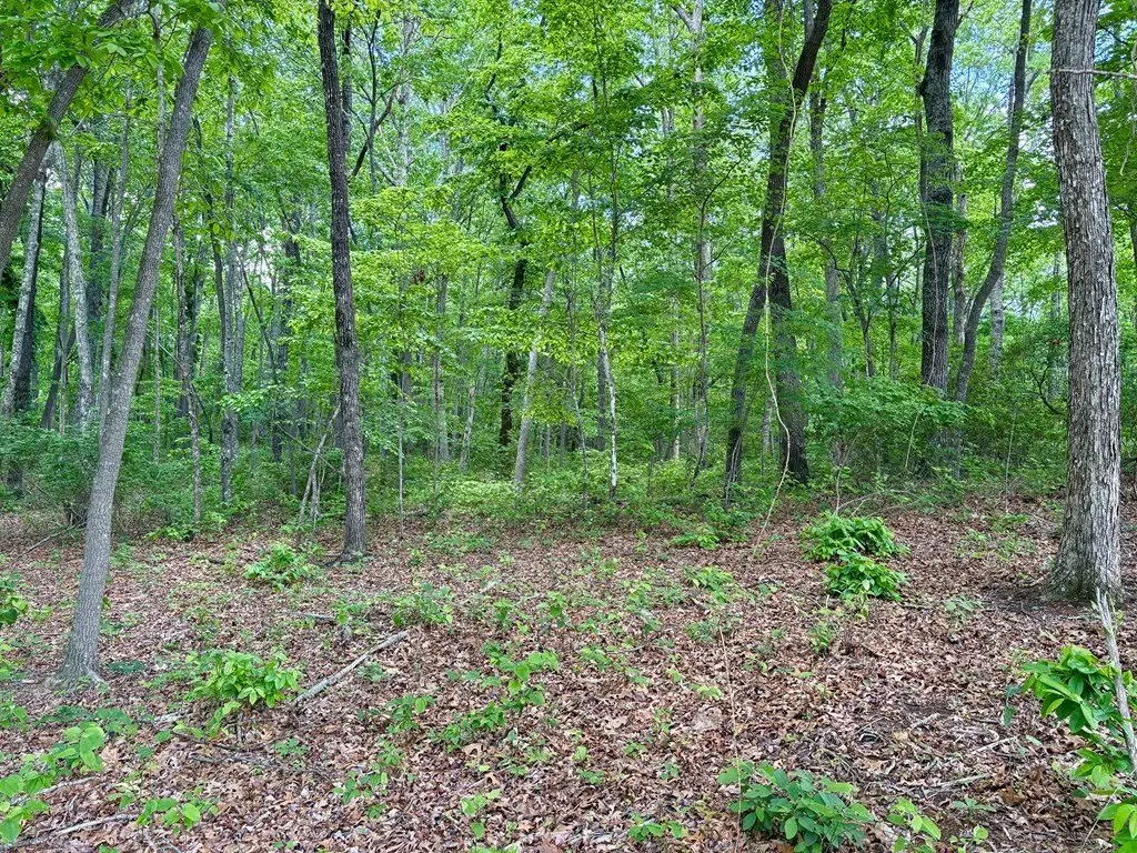 Picture 8