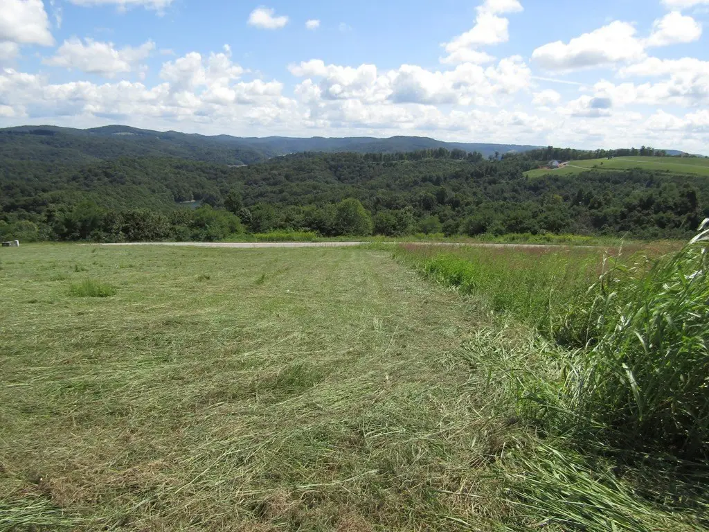 Picture 5