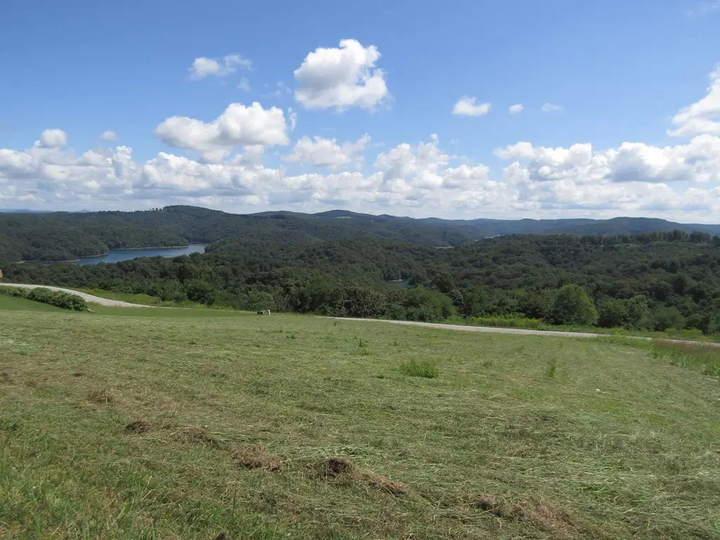 Picture 3