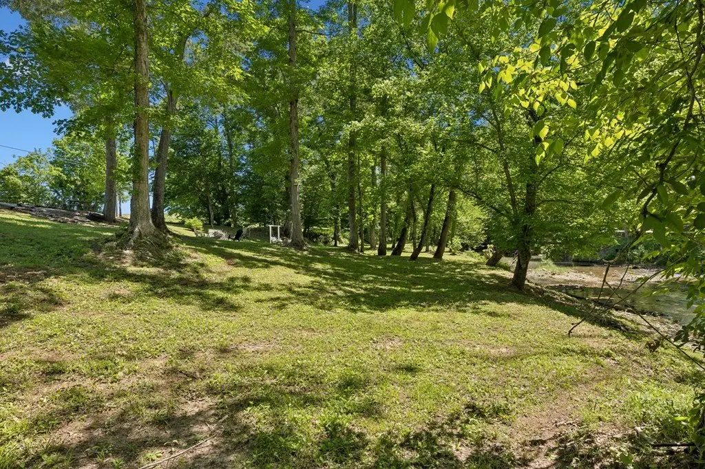 Picture 25