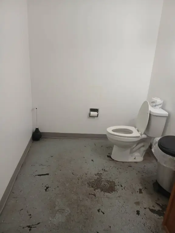 Picture 10