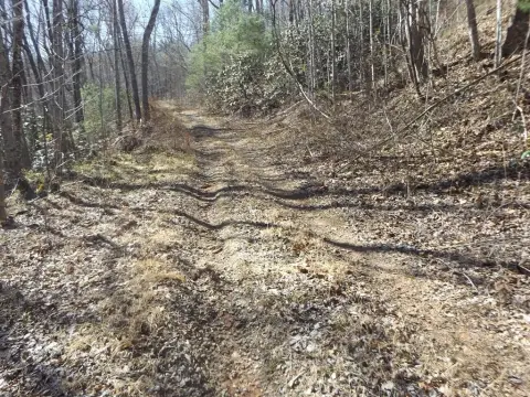 Recreational Land with Creek Frontage